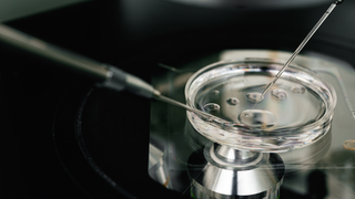 A 'Three Person Baby' IVF Technique Has Been Deemed Safe in New Study